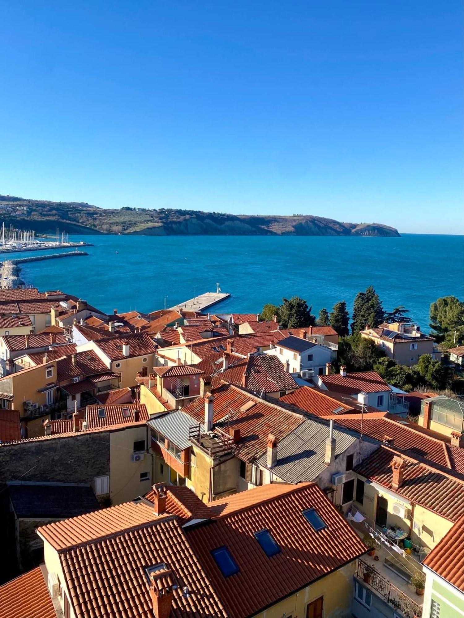 Apartma Rea Izola, Pergola & Terassa, Parking Rom bilde